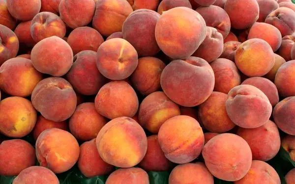 Fresh Peaches