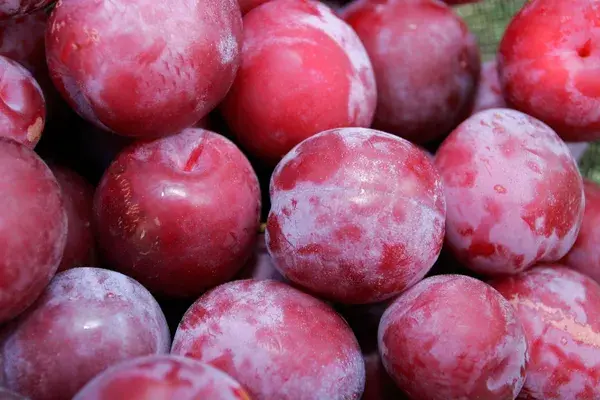 Fresh Plums