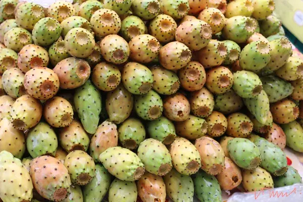 Fresh Prickly Pears