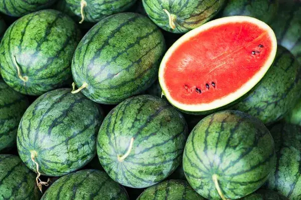 Fresh Watermelons