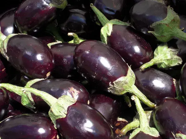 Fresh Eggplants