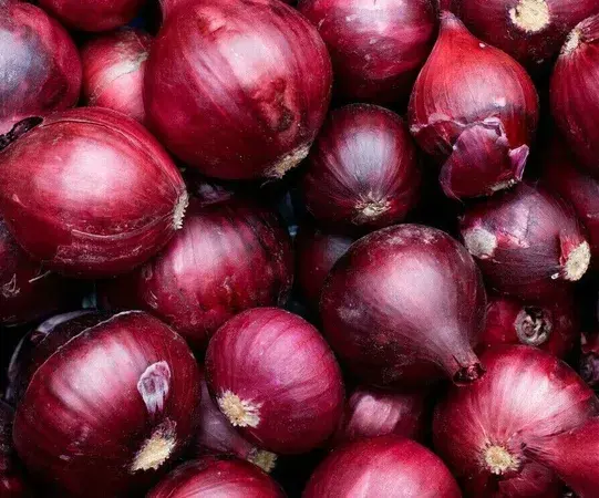 Fresh Red Onions